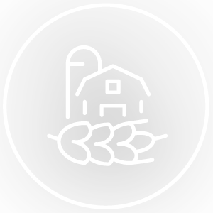 Home graphic